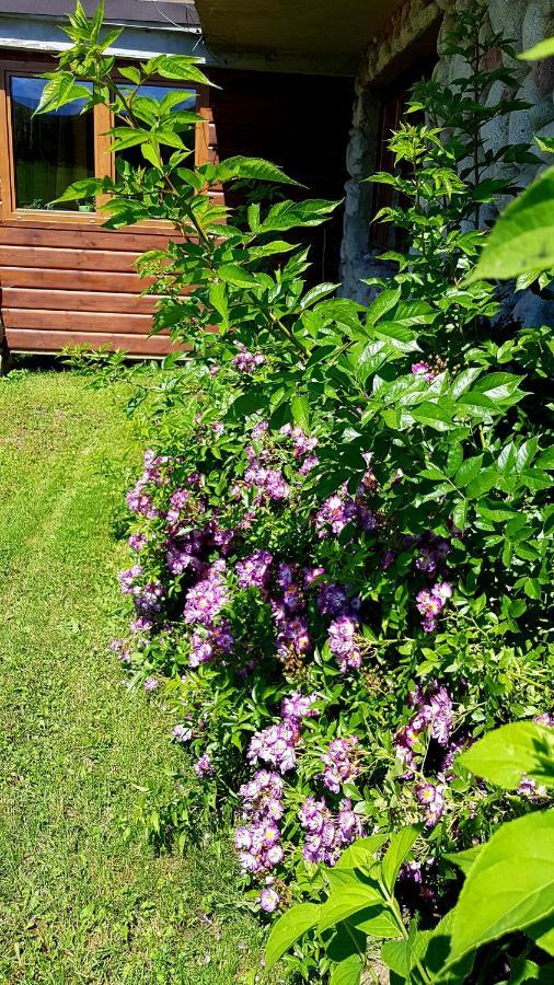 Vila Antonowka Trybsz Exteriér fotografie