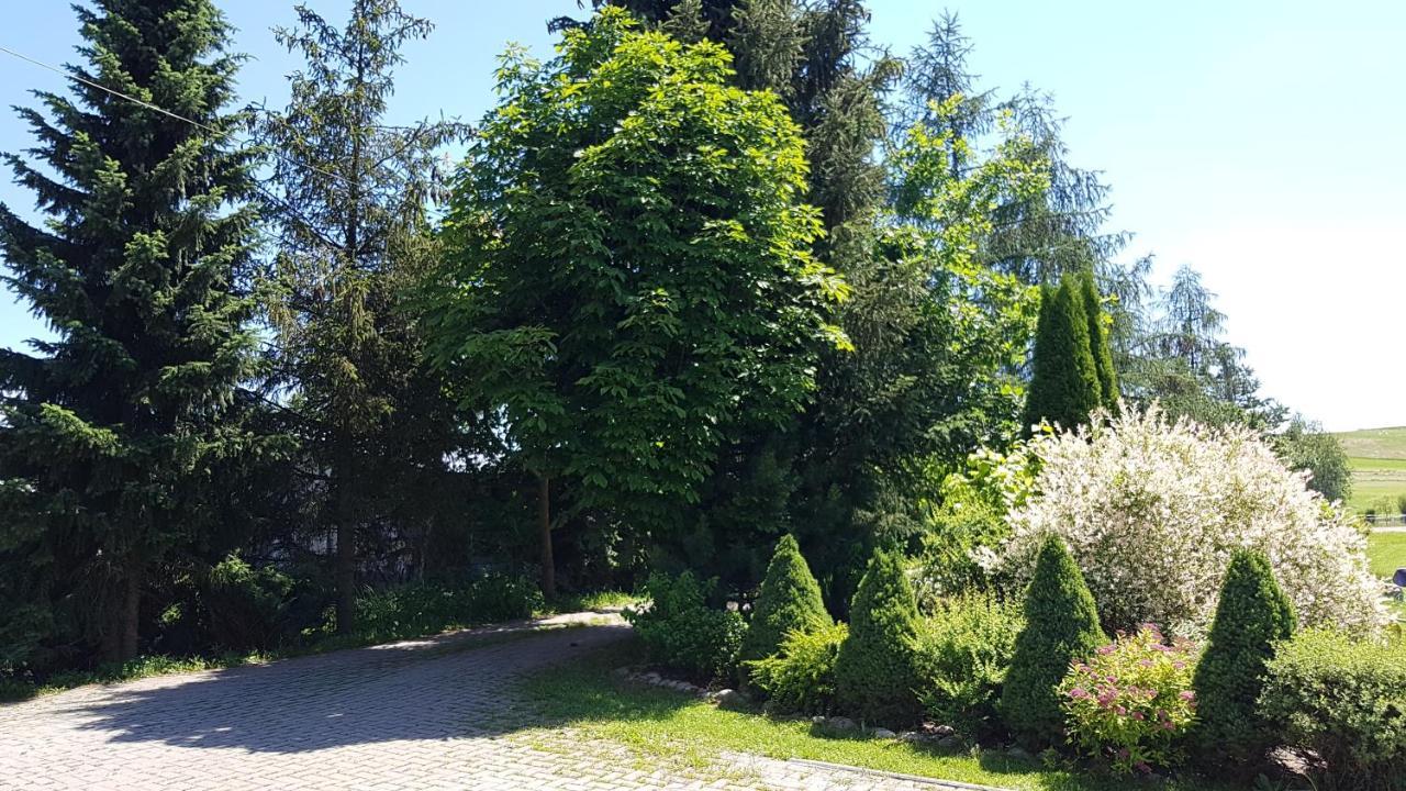 Vila Antonowka Trybsz Exteriér fotografie
