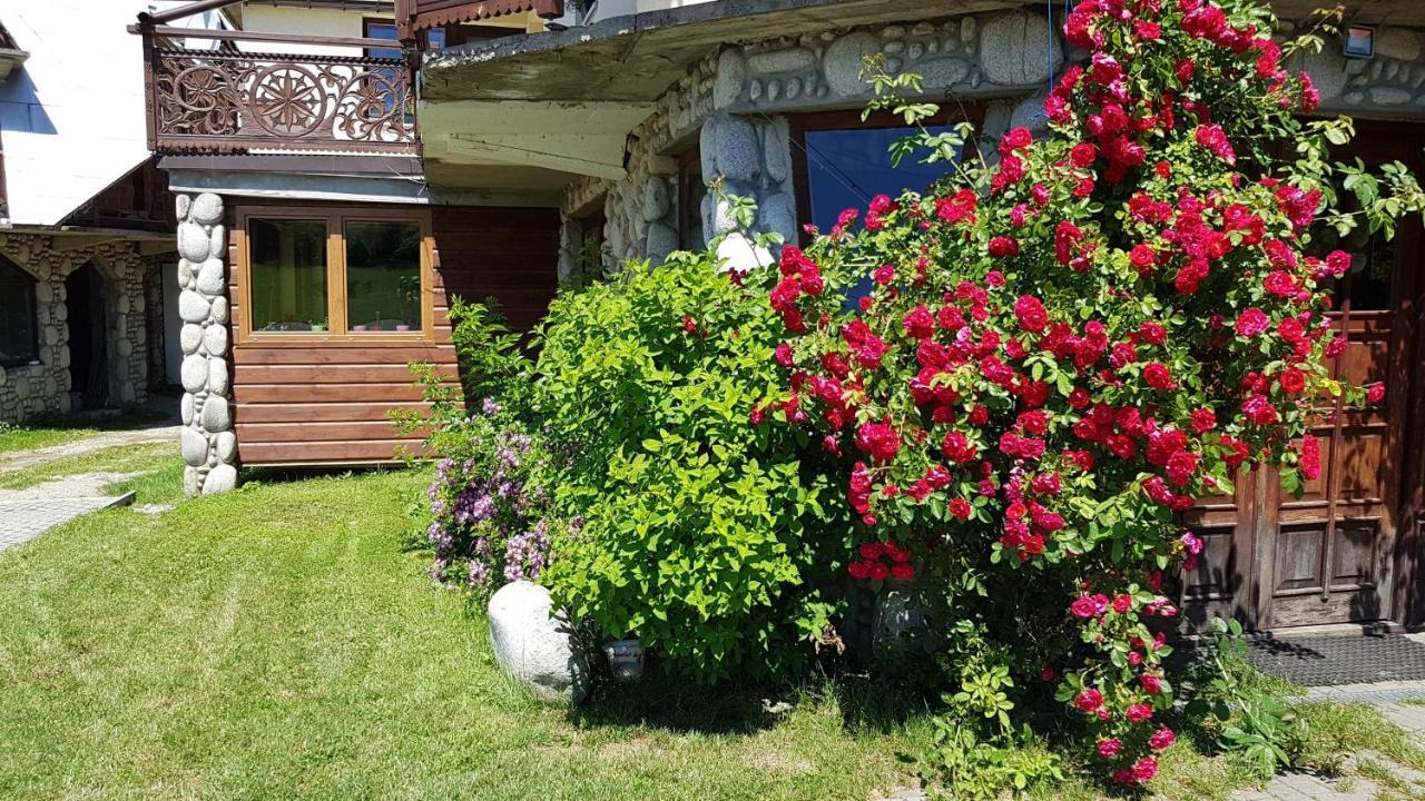 Vila Antonowka Trybsz Exteriér fotografie