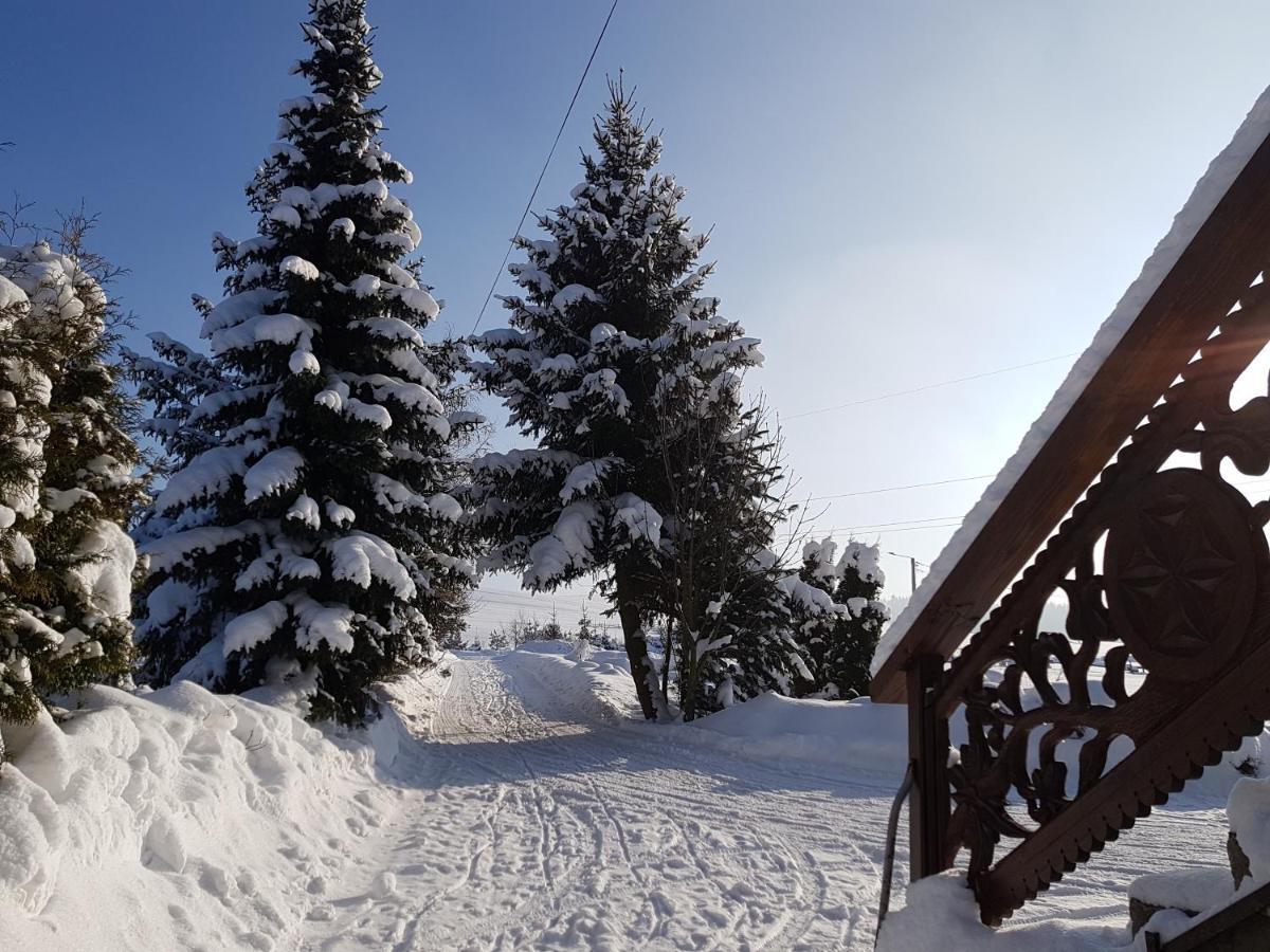 Vila Antonowka Trybsz Exteriér fotografie